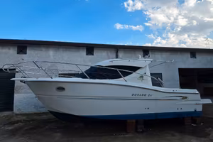 sessa dorado 26