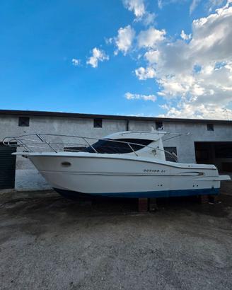 sessa dorado 26