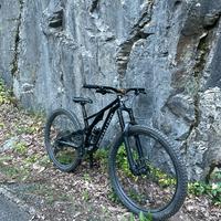 Specialized stumpjumper tg. S