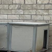 Cuccia coibentata