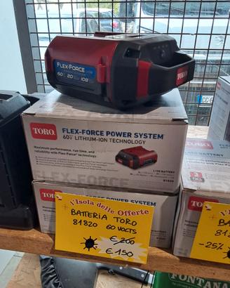 Batterie e Caricabatterie TORO 60V Flex-Force.