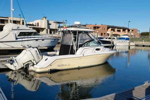 Robalo R 265