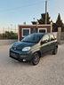 fiat-panda-1-3-mjt-4x4-van-2-posti