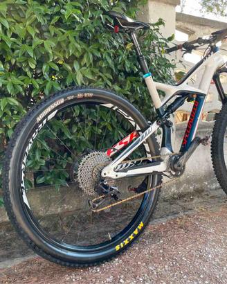 MTB SPECIALIZED ENDURO telaio carbon RUOTE 29