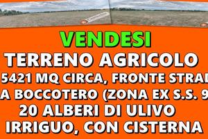 Terreno Agricolo