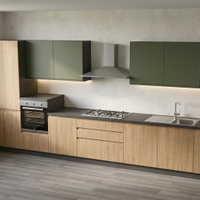 CUCINA LINEARE  CON ELETTRODOMESTICI DI MARCA