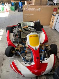 Go kart 125 birel