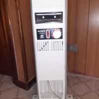 termosifone a olio.
