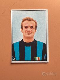Figurina nuova Sandro Mazzola panini 1965/66