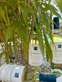 Vermentino Costamolino Argioas 1 cartone con 6 bot