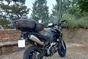 Aprilia Pegaso Strada 650