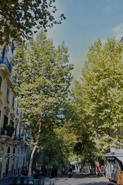 Appartamento - Vista 3