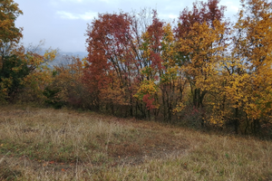 Terreno ex vigneto a terrazze