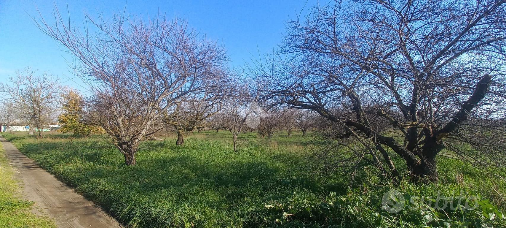TER. AGRICOLO A SANT'ANASTASIA - Vista 3