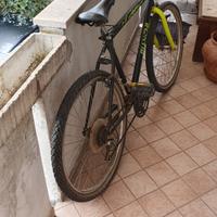 Bicicletta Bianchi (cobra) Special 