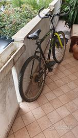 Bicicletta Bianchi (cobra) Special 