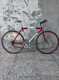 Bici vianelli