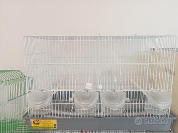 gabbie di uccelli