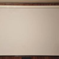 Schermo videoproiettore