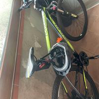 Mtb 29 ^