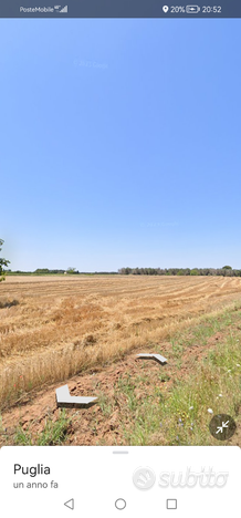 Terreno agricolo in Mesagne