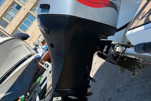 mariner 90 cavalli 4 t