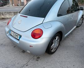 New beetle