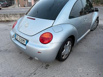 New beetle