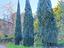 Immagine 17