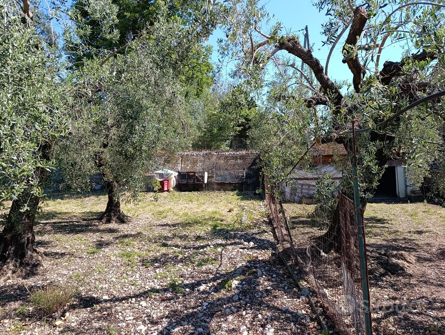 Casa con terreno - Vista 2