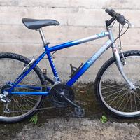 mtb Simoncini ragazzi 