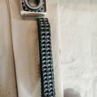  pignone è catena trasmissione fiat 600 nuova