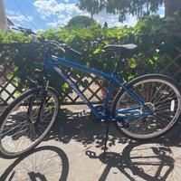 2   MTB da gara SHUWINN 28 -CUBE MTB LTD