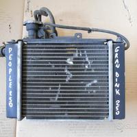 Radiatore kymco people 250