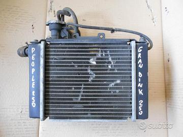 Radiatore kymco people 250