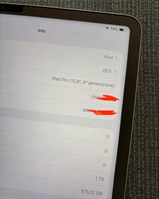 Ipad pro 12.9 m2 1tb come nuovo