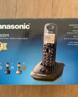 Telefono Panasonic
