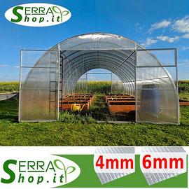 Serra tunnel 8x4m policarbonato alveolare orto box