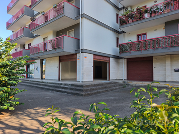 S.Spirito Catino - 2 Vetrine Angolari - Strategico