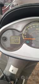 motori