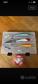 Esche da pesca predatori