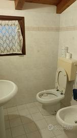 Ampia mansarda con bagno privato