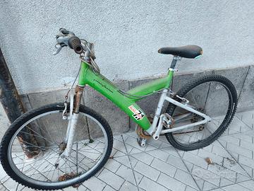 Bicicletta 