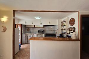 Appartamento con giardino a 250m dal mare