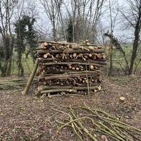 Legna da ardere da tagliare