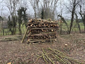 Legna da ardere da tagliare