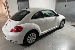 Volkswagen Maggiolino 1.6 TDI 105 cv Neopatentati