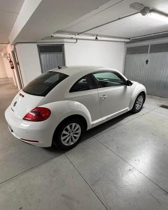 Volkswagen Maggiolino 1.6 TDI 105 cv Neopatentati