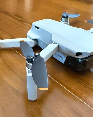 Drone DJI Mini 2 ProFly More Combo