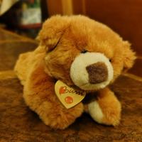 peluche orsetto Trudy